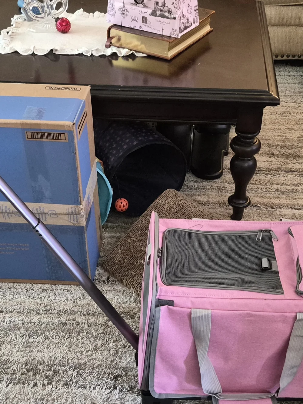 Pink Rolling Small Pet Carrier with Mesh Ventilation and Telescoping Handle